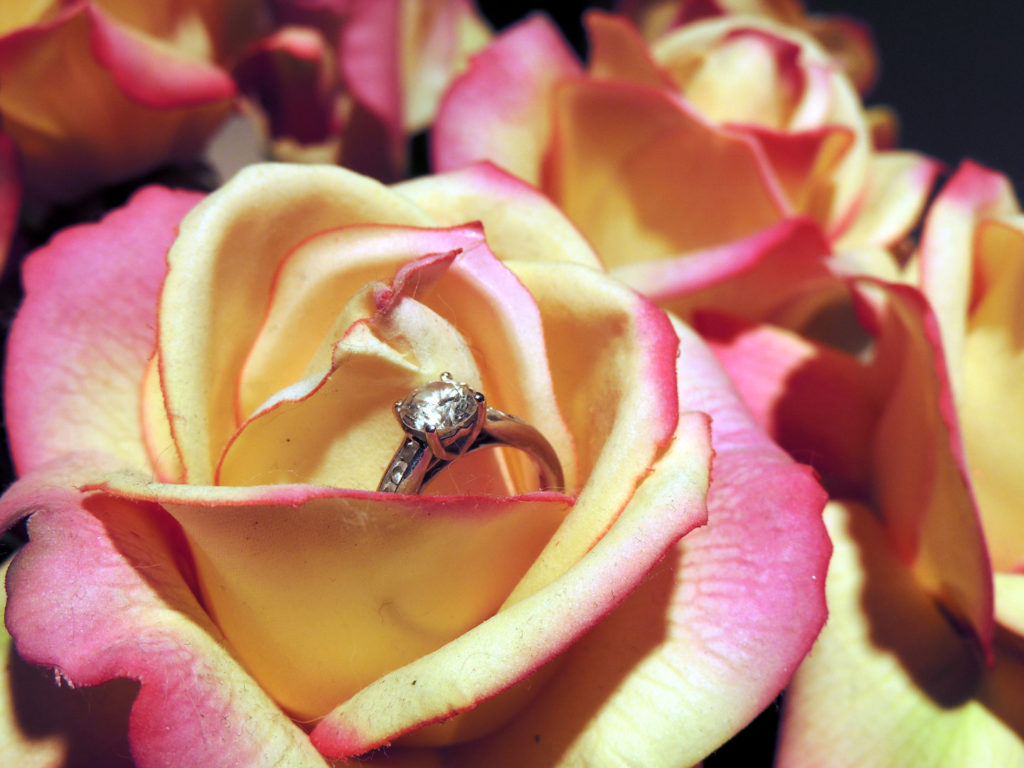 engagement-ring-in-roses